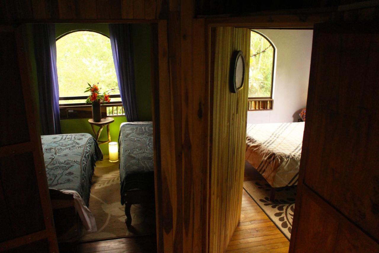 Hotel Casa Alquimia Monteverde Exteriér fotografie