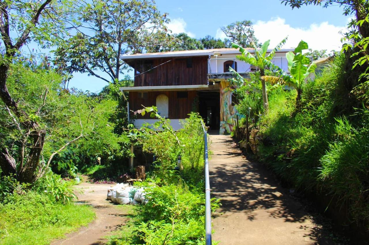 Hotel Casa Alquimia Monteverde Exteriér fotografie