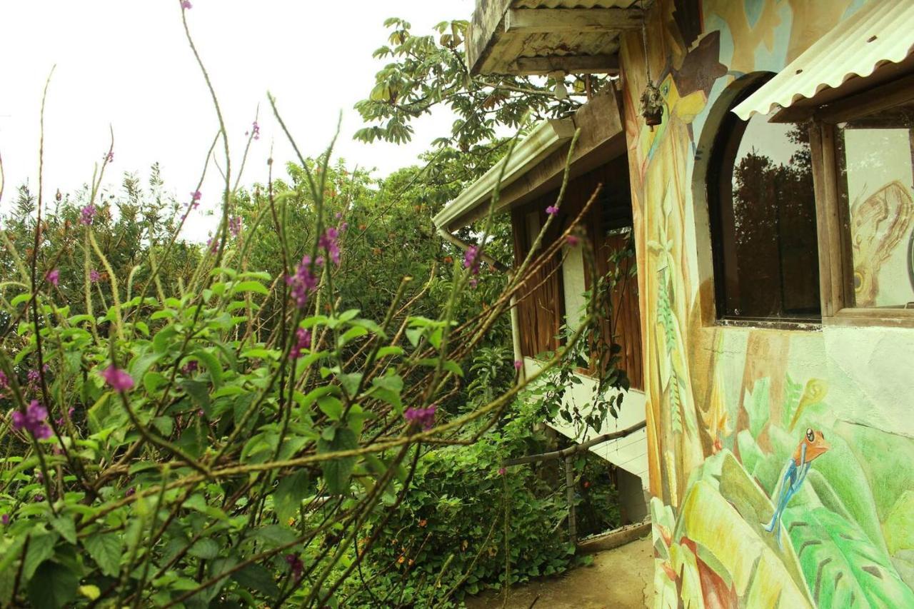Hotel Casa Alquimia Monteverde Exteriér fotografie
